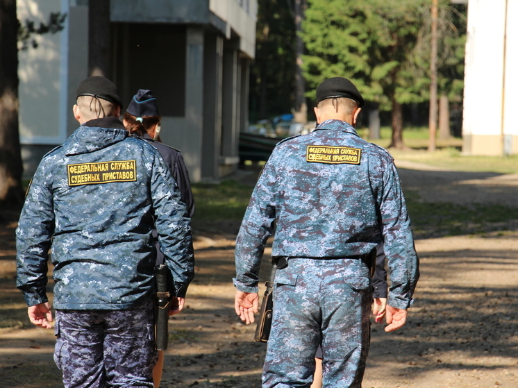 Жительница Перми пять лет добивалась доступа на принадлежащий ей участок в садоводческом кооперативе