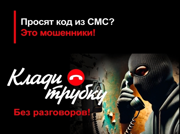 В Александрове житель Ингушентии похитил у пенсионеров 1,5 млн рублей