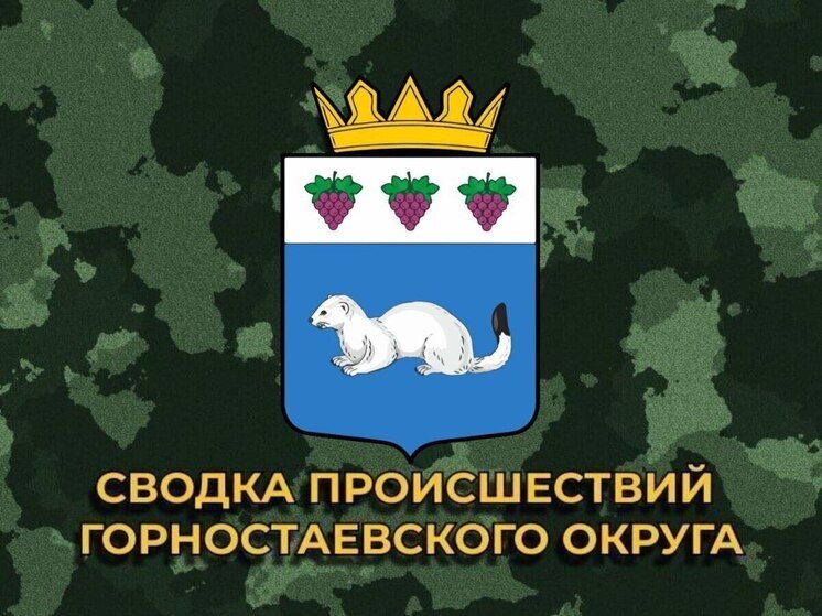 За сутки ВСУ 19 раз обстреляли Горностаевский округ