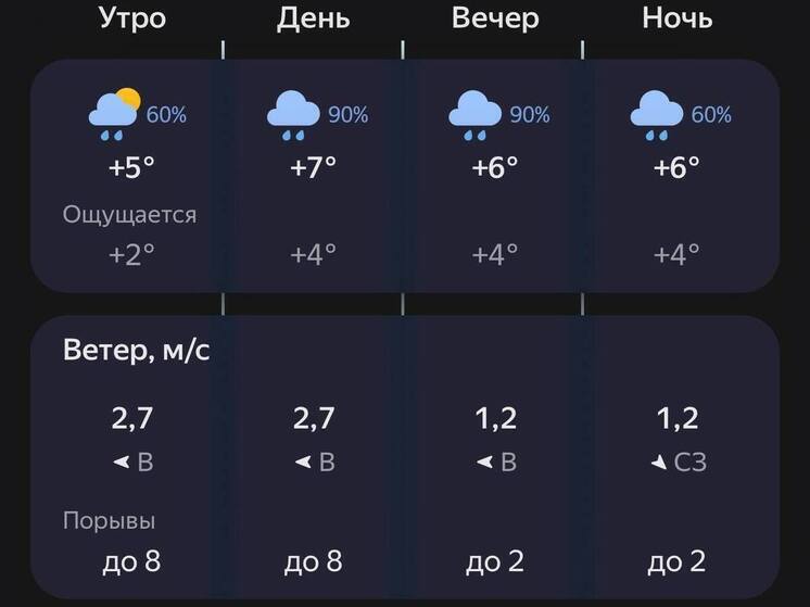 Пензенцев ожидает прохладный и дождливый день