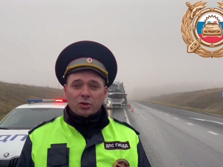 Водитель «КамАЗа» погиб в массовом ДТП с грузовиками в Рязанской области