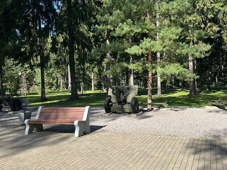 Дело об осквернении мемориала ВОВ в Новомосковске направили в суд