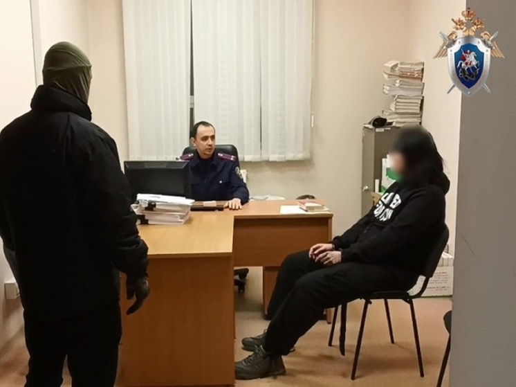 Интернет-экстемисты из Москвы и Ростова получили реальные сроки в Костроме