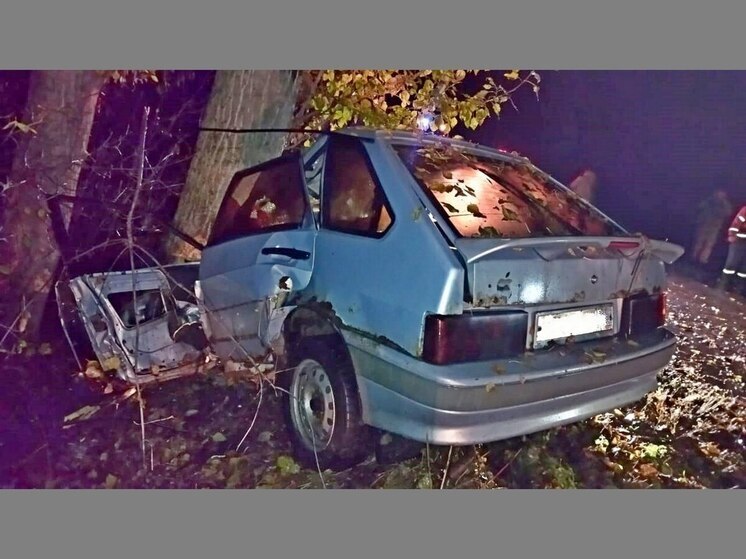 Под Воронежем 27-летний водитель насмерть врезался в дерево