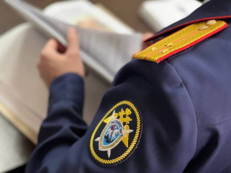 Избиение 12-летней девочки расследуют в Запорожской области