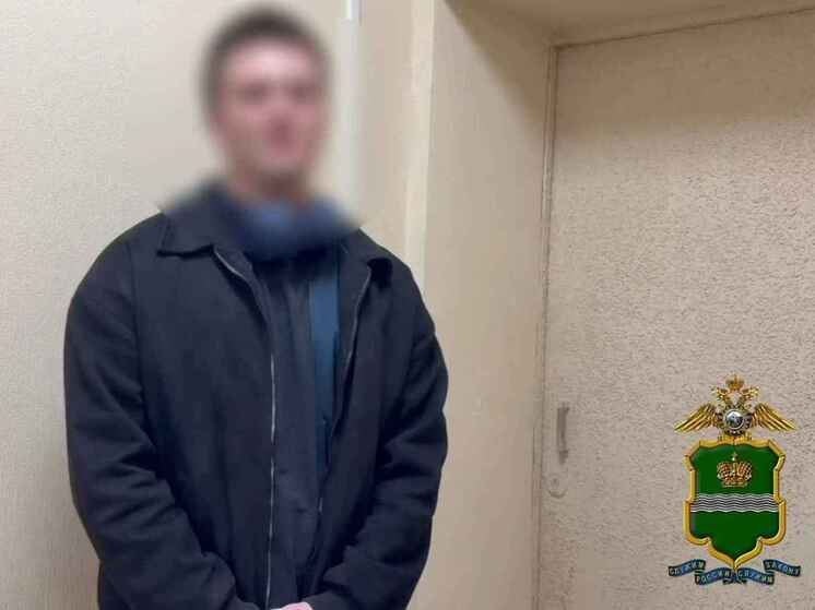 Туляк разгромил деревья, фонарь и музейную табличку в центре Калуги