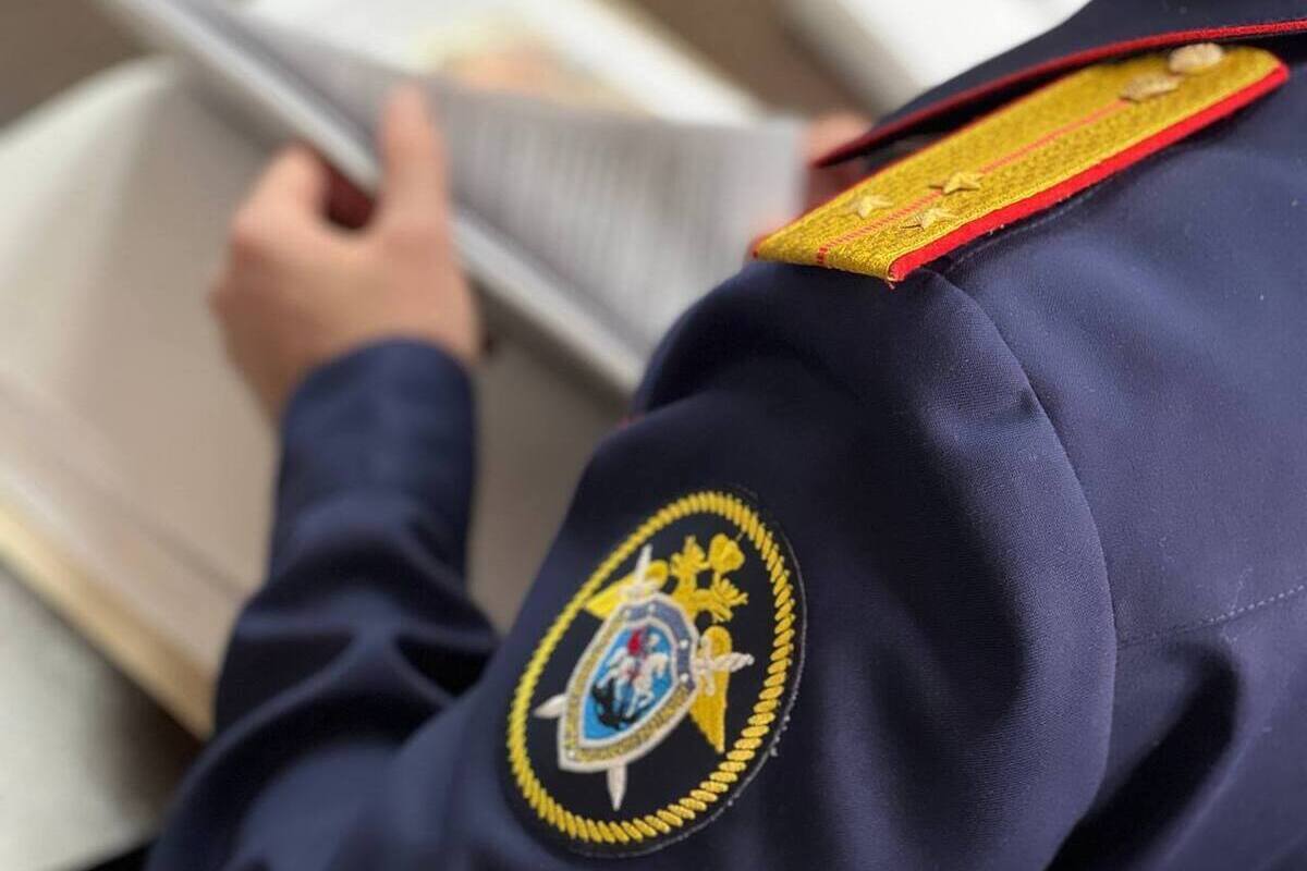 Избиение 12-летней девочки расследуют в Запорожской области