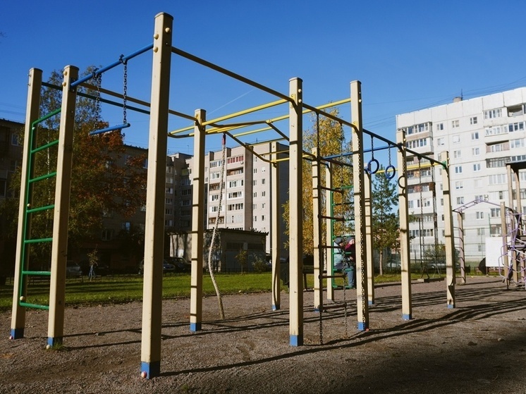 Усилиями двух ТОС в Великом Новгороде появились спортивная и детская площадки