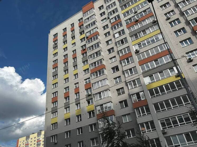 «Люди, что происходит?»: в Барнауле женщина задушила белку во дворе жилого дома