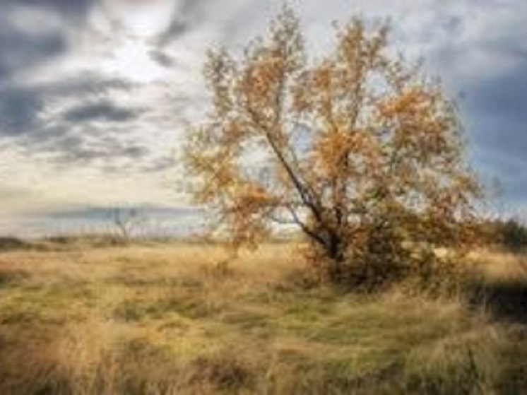 Что Зимоуказатель завтра расскажет жителям Калмыкии о погоде