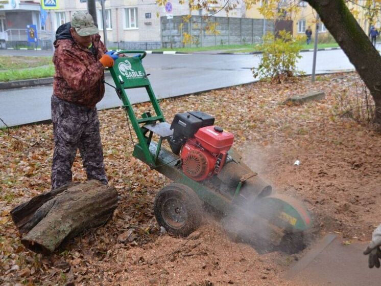 В Иваново активно избавляются от пней