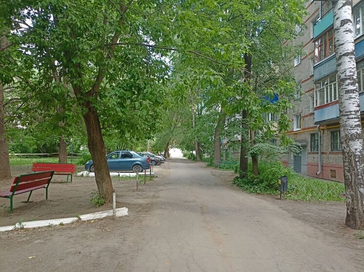 Во дворе Петербурга нашли 11 канистр с химическими отходами