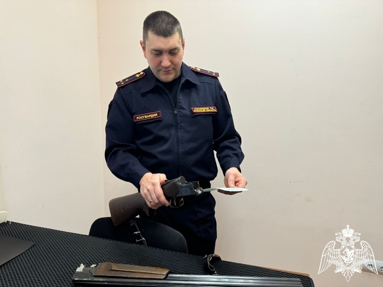 За неделю брянцы добровольно сдали 9 единиц оружия