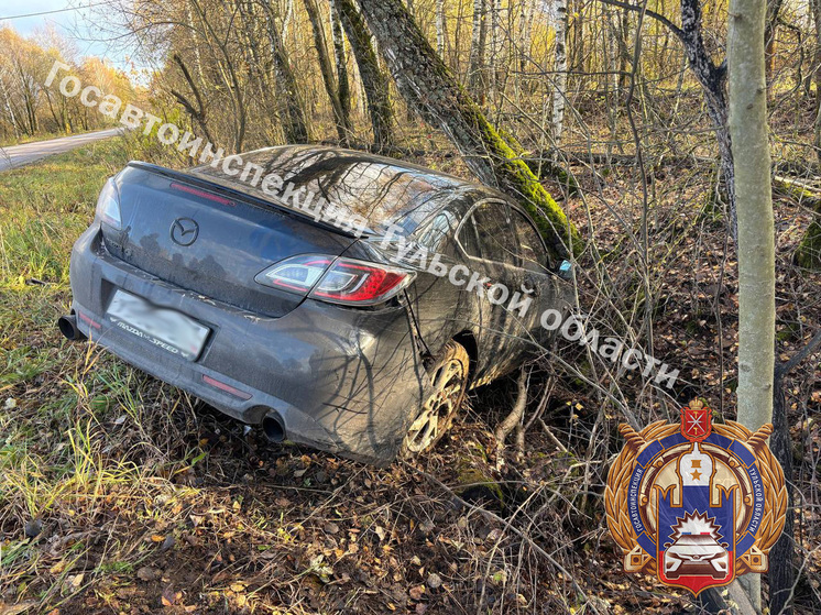 Пьяный туляк на Mazda устроил ДТП с двумя пострадавшими девочками