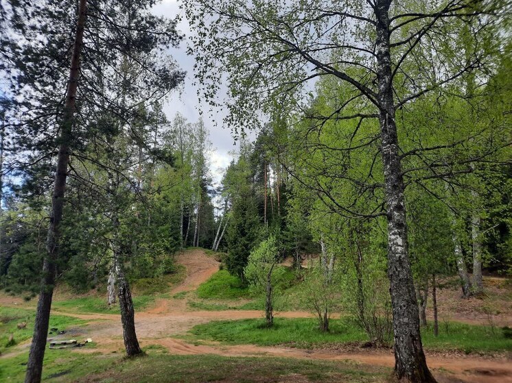 Желтодушка прискакала в Ленобласть прятать свои съестные сокровища