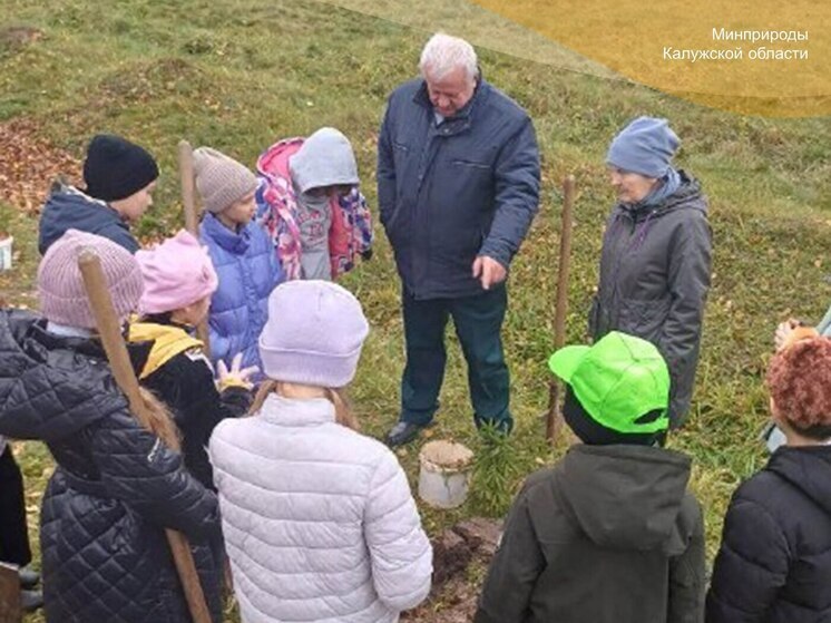 В Сухиничском районе появилась «Лесная академия»
