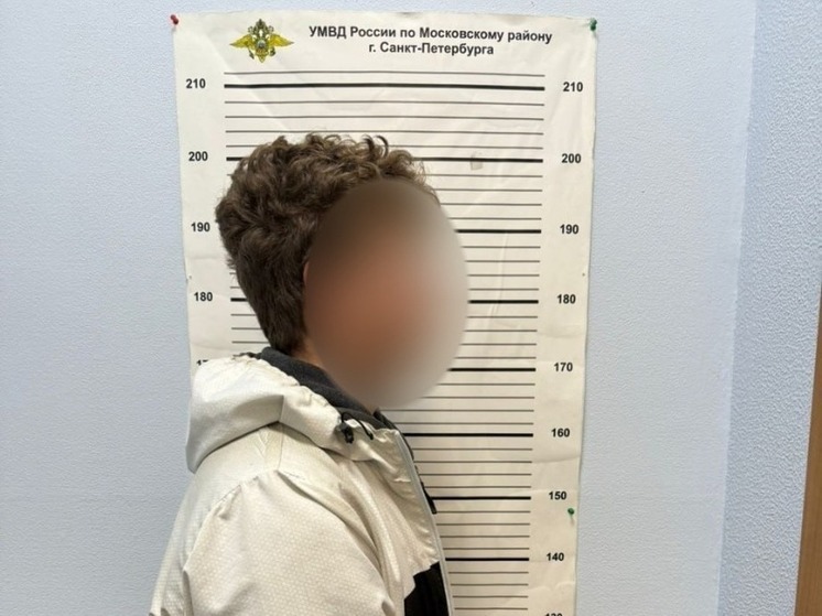 24-летний петербуржец увез от бабушки 500 тысяч рублей и 4 тысячи долларов США