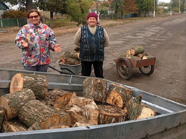 «Единая Россия» Запорожской области оказала помощь жителям Кохановской группы сёл в обеспечении дровами