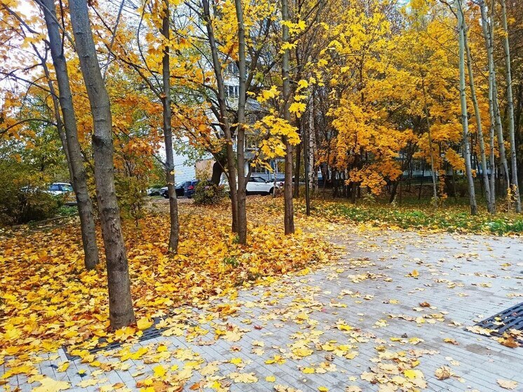 Вместо снега в Ивановскую область вернулось тепло