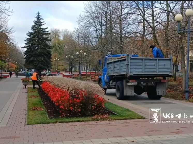 В Белгороде начали готовить к зиме деревья и клумбы