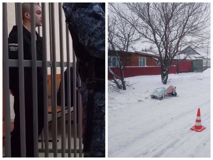 Омский облсуд оставил в силе приговор водителю, насмерть сбившего девочку в санках