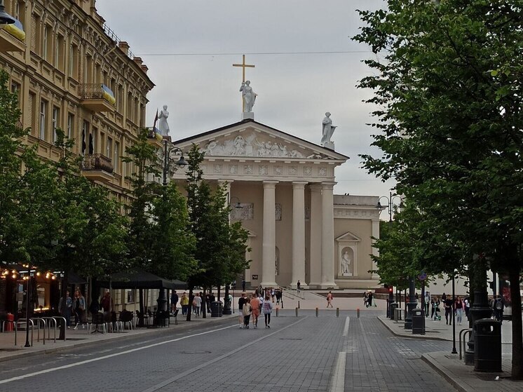 Президент Литвы принял отставку министра обороны Шакалене