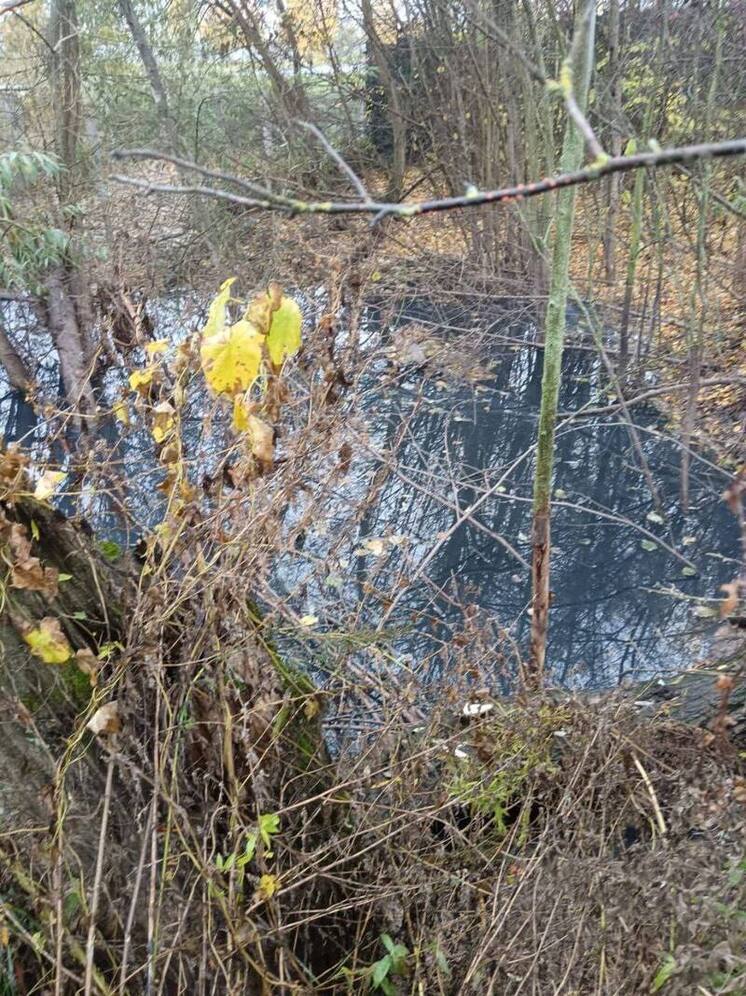 Рядом с калужским эко-парком «организовали» слив нечистот