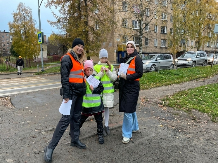 В Петрозаводске родительская общественность напомнила о безопасности на дороге