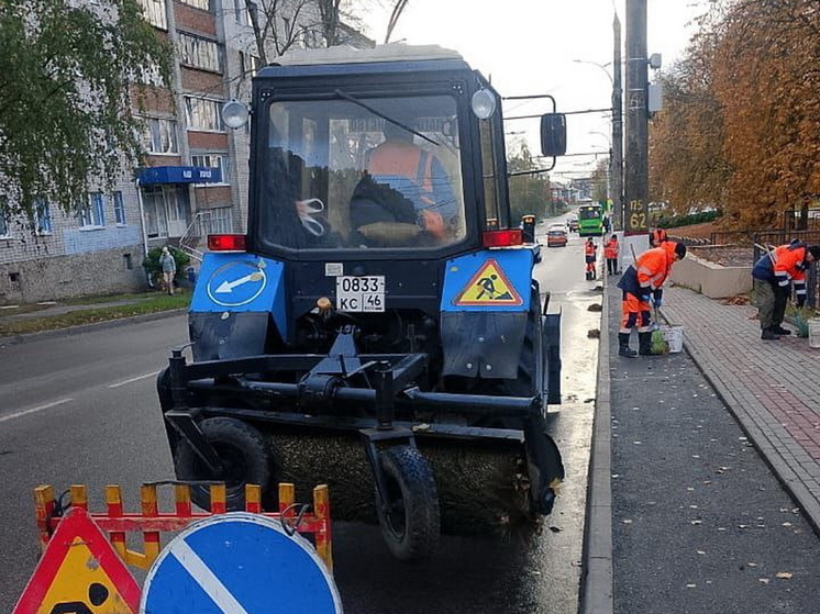 В Курске 110 человек наводят порядок на улицах и дорогах