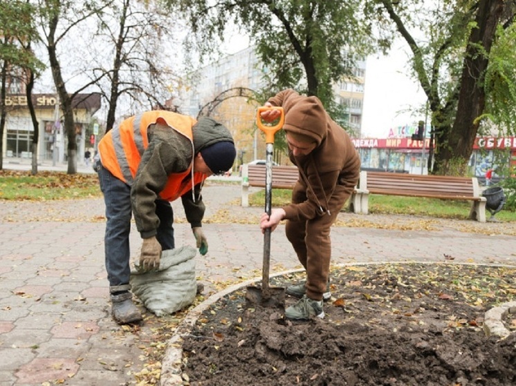 В Туле завершается осеннее озеленение и высадка тюльпанов