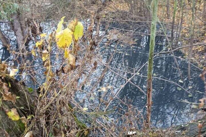 Рядом с калужским эко-парком «организовали» слив нечистот