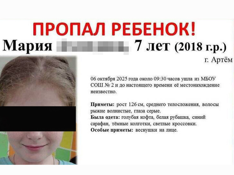 Почти весь октябрь в Приморье обсуждали происшествие: девочку-первоклассницу похитила… ее родная мама