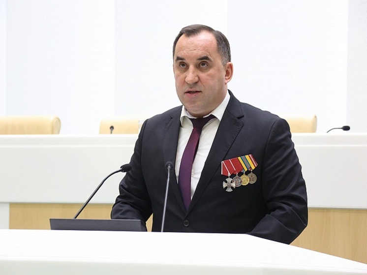 Андрей Дубровский выступил на «Часе субъектов РФ» в Совете Федерации