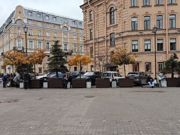 Подорожание парковки вынудило петербуржцев парковаться прямо у метро