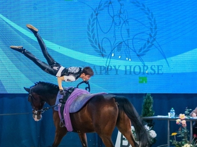 Всеволожские спортсмены показали себя на Чемпионате России по вольтижировке
