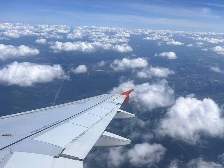 В аэропорту Минвод пассажир попытался нанести себе травмы при посадке рейса