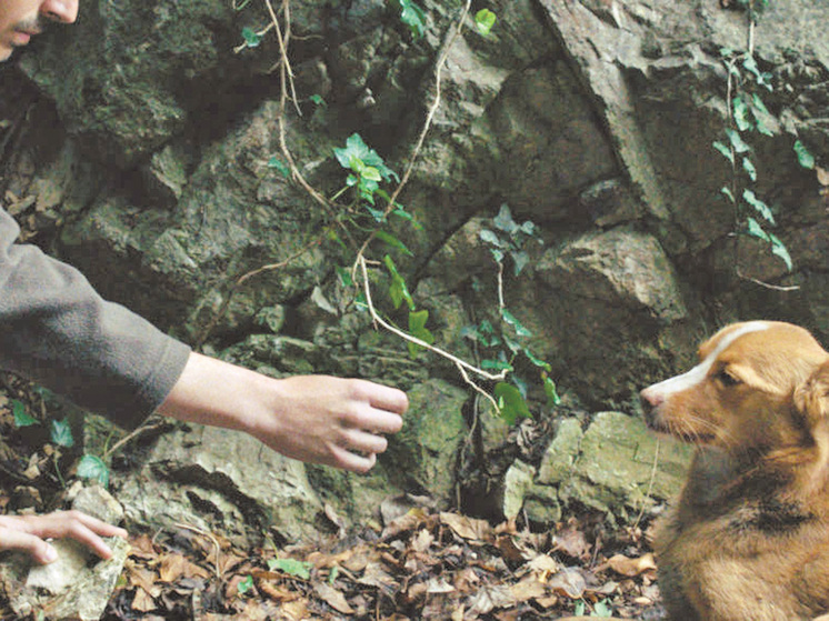 Документальное кино на границе с вымыслом: где заканчивается реальность и начинается сон, выясняли в Санкт-Петербурге