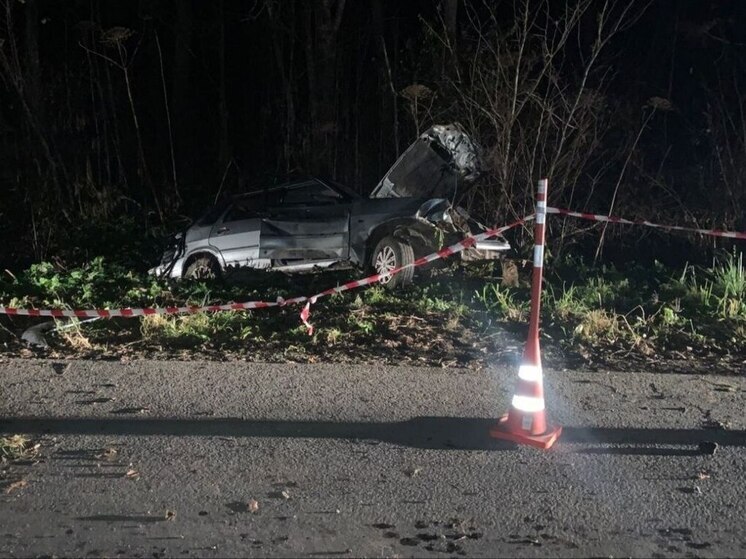 В Шимском округе пьяный водитель «Лады» угробил пассажира