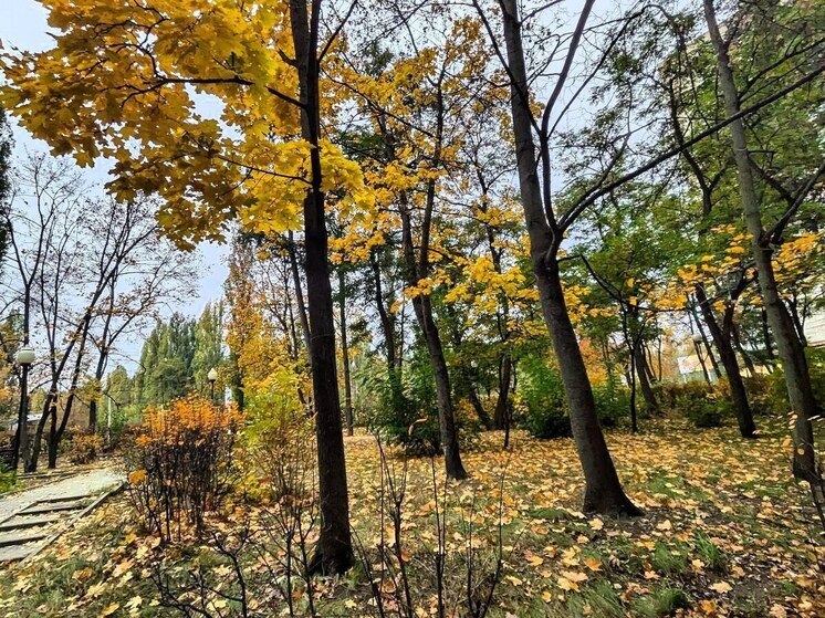 В Воронеже внезапно потеплеет к выходным