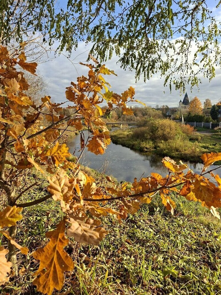 Облачно, возможны осадки: какую погоду готовит природа для псковичей 23 октября