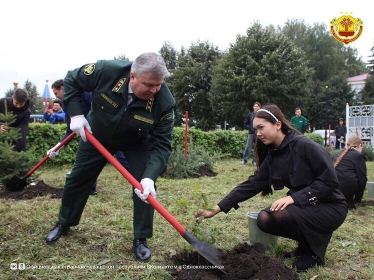 В Чувашии высадили более 60 тысяч деревьев в рамках акции «Сохраним лес»