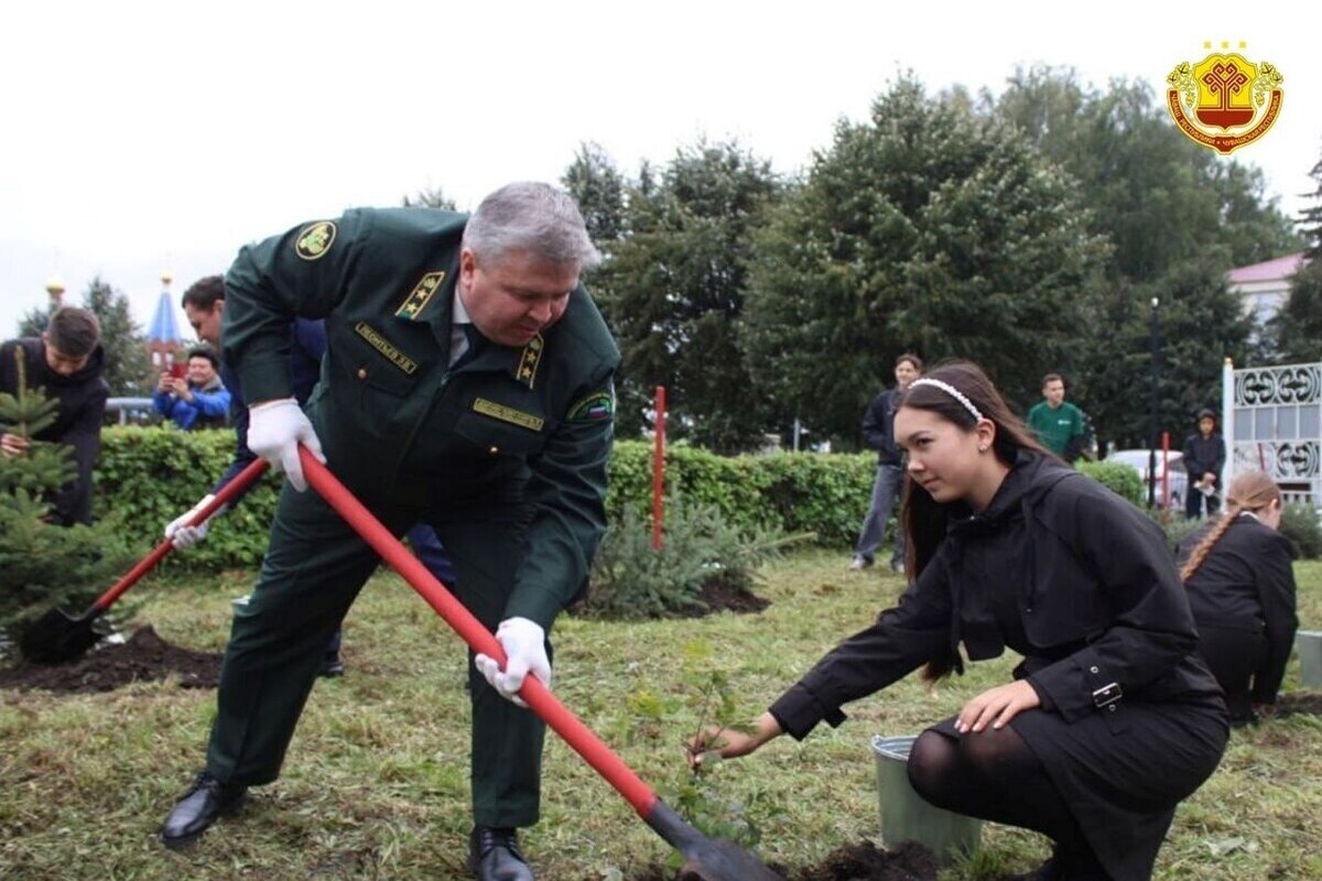 В Чувашии высадили более 60 тысяч деревьев в рамках акции «Сохраним лес»