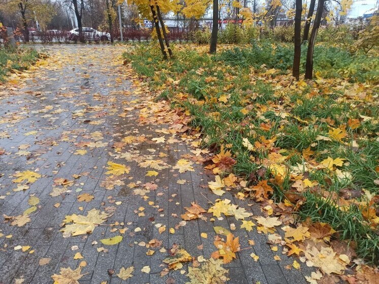 Снег в Костромской области отменятся до ноября