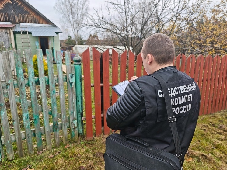Во Владимирской области совершено двойное убийство