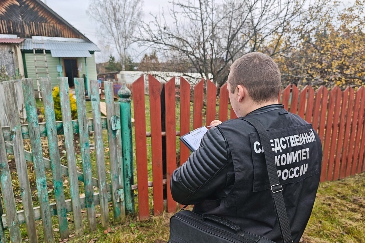 Duplice omicidio nella regione di Vladimir: le autorità arrestano un sospettato e avviano un'indagine approfondita