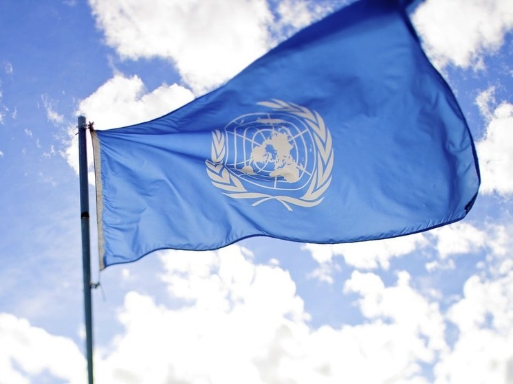 Reuters группа стран во главе с Китаем и РФ пыталась заблокировать финансирование УВКПЧ