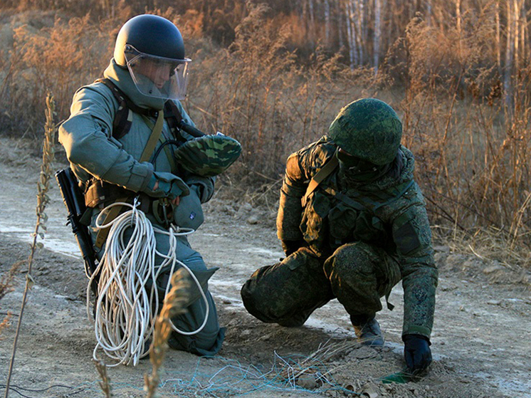 В Хабаровском крае прошли учения по инженерной разведке и разминированию
