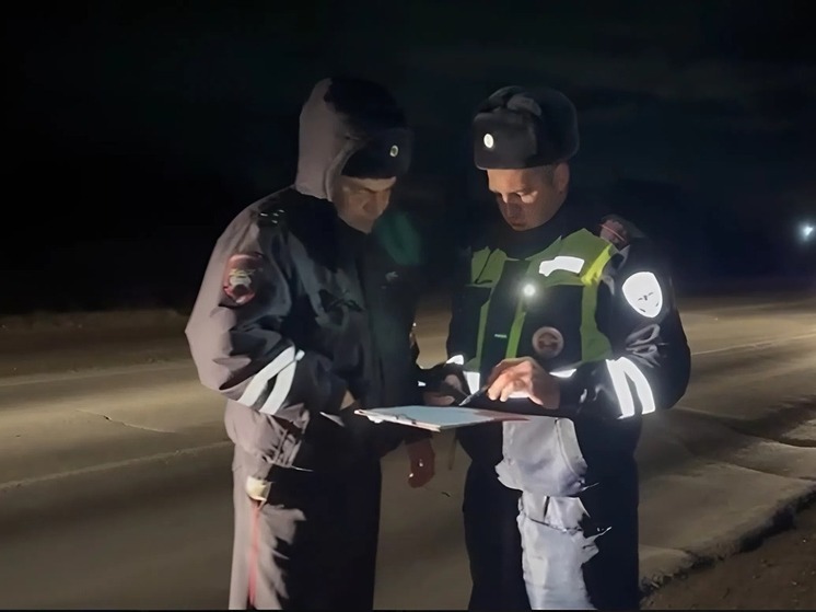 Пешеход погиб под колёсами маршрутки на трассе «Михайловка-Александровское-Итатка»