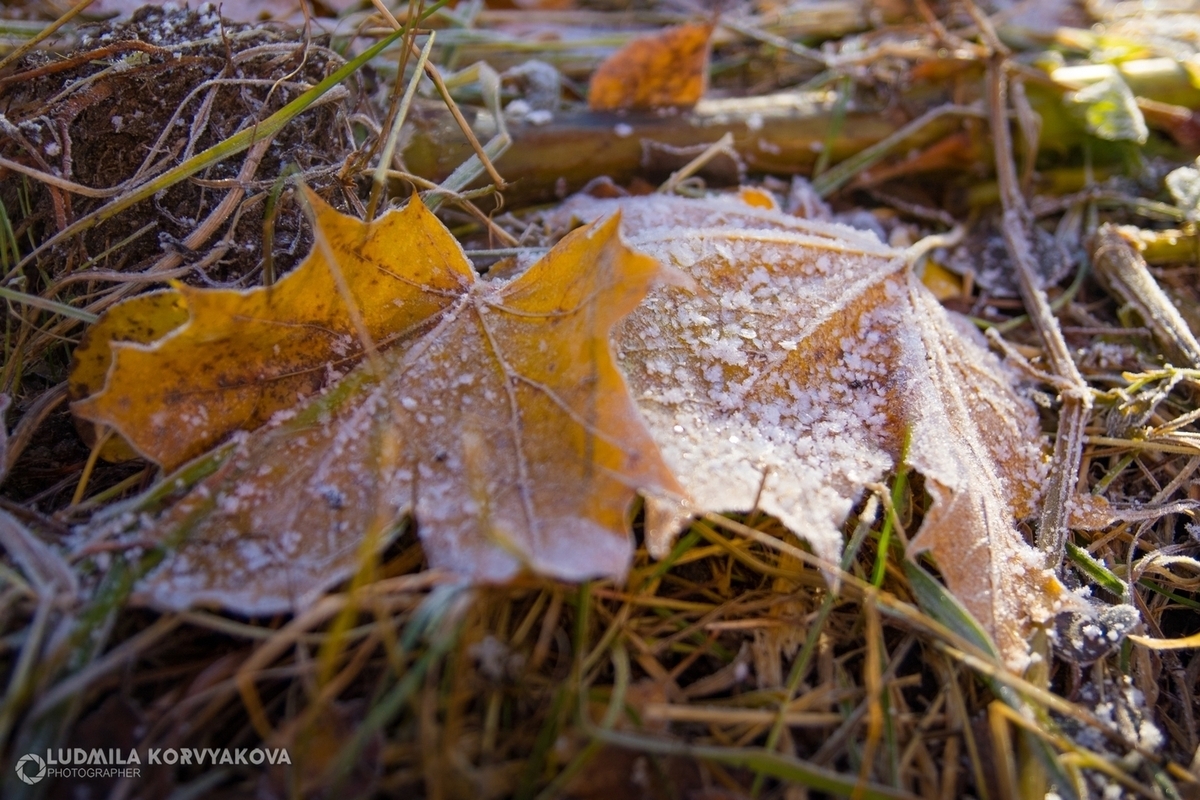 Дождь и гололед 23 октября ожидают Карелию