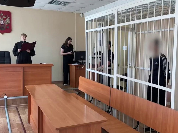 Подростков, подозреваемых в поджогах леса под Читой, оставили в СИЗО до декабря